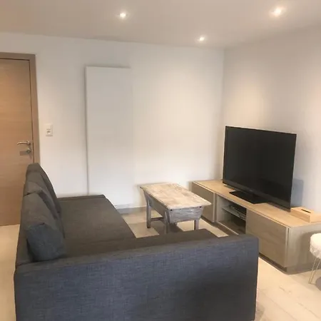 Pegasus I - 2 De Luxe, Cuisine, Salon, 2 Terrasses Et Sauna Lägenhet Vielsalm