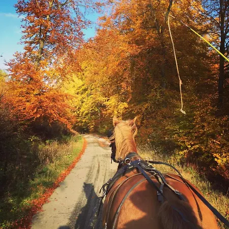 Pegasus I - 2 De Luxe, Cuisine, Salon, 2 Terrasses Et Sauna *