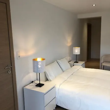 Pegasus I - 2 De Luxe, Cuisine, Salon, 2 Terrasses Et Sauna Vielsalm