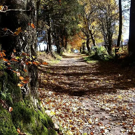 Pegasus I - 2 De Luxe, Cuisine, Salon, 2 Terrasses Et Sauna Lejlighed *