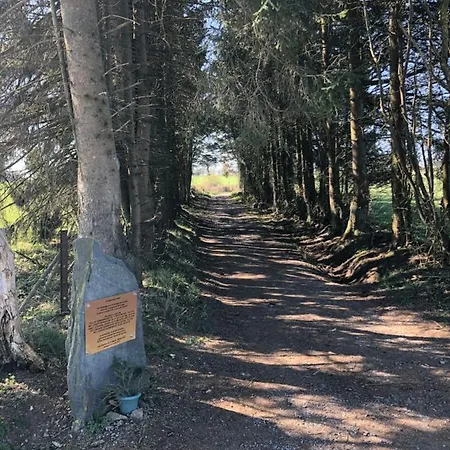 Pegasus I - 2 De Luxe, Cuisine, Salon, 2 Terrasses Et Sauna Lejlighed Vielsalm