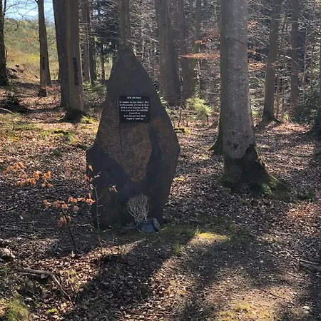 Pegasus I - 2 De Luxe, Cuisine, Salon, 2 Terrasses Et Sauna * Vielsalm