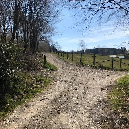 Pegasus I - 2 De Luxe, Cuisine, Salon, 2 Terrasses Et Sauna Vielsalm