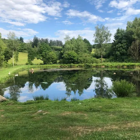 Pegasus I - 2 De Luxe, Cuisine, Salon, 2 Terrasses Et Sauna Vielsalm