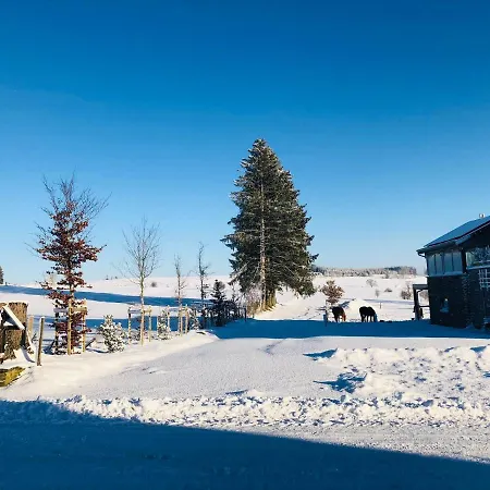 Pegasus I - 2 De Luxe, Cuisine, Salon, 2 Terrasses Et Sauna