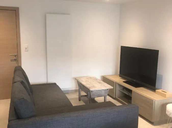 Pegasus I - 2 De Luxe, Cuisine, Salon, 2 Terrasses Et Sauna Apartmán Vielsalm