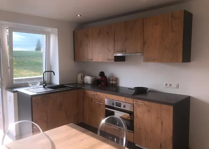 Apartmán Pegasus I - 2 De Luxe, Cuisine, Salon, 2 Terrasses Et Sauna Vielsalm