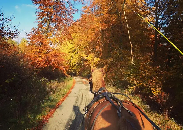 Pegasus I - 2 De Luxe, Cuisine, Salon, 2 Terrasses Et Sauna *