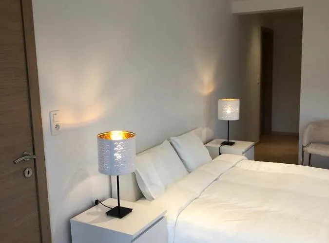 Pegasus I - 2 De Luxe, Cuisine, Salon, 2 Terrasses Et Sauna Vielsalm