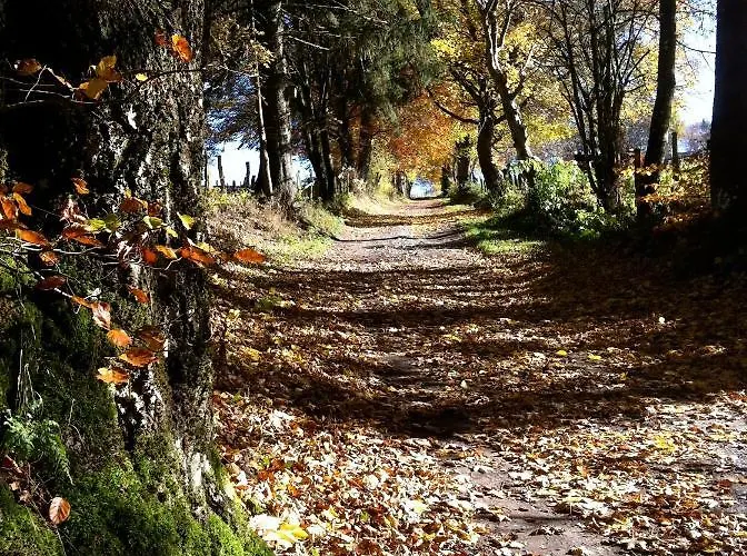 Pegasus I - 2 De Luxe, Cuisine, Salon, 2 Terrasses Et Sauna Apartmán *