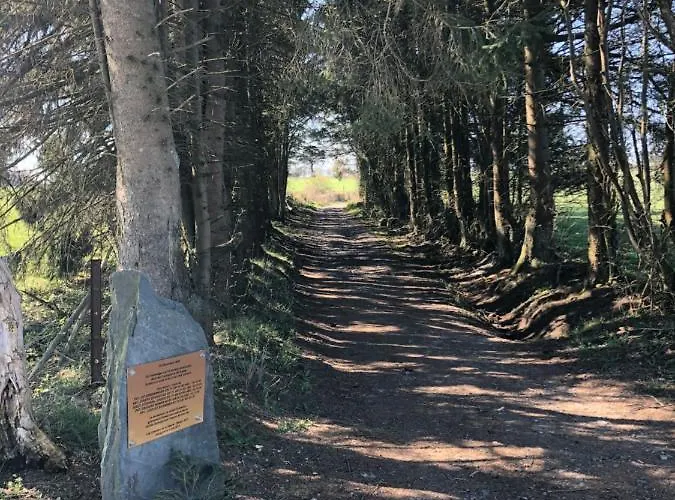 Pegasus I - 2 De Luxe, Cuisine, Salon, 2 Terrasses Et Sauna Apartmán Vielsalm