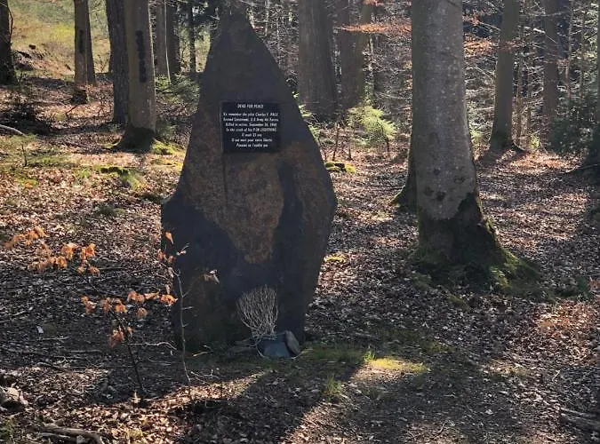 Pegasus I - 2 De Luxe, Cuisine, Salon, 2 Terrasses Et Sauna * Vielsalm