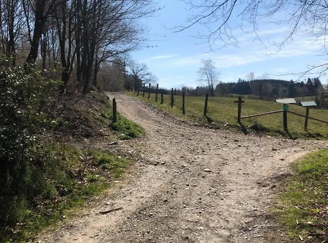 Pegasus I - 2 De Luxe, Cuisine, Salon, 2 Terrasses Et Sauna Vielsalm