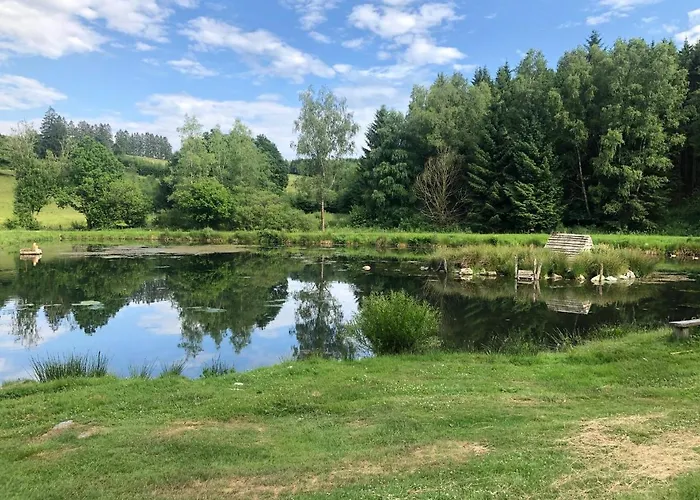 Pegasus I - 2 De Luxe, Cuisine, Salon, 2 Terrasses Et Sauna Vielsalm