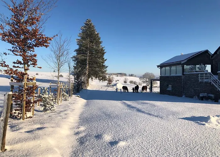 Apartmán Pegasus I - 2 De Luxe, Cuisine, Salon, 2 Terrasses Et Sauna Vielsalm