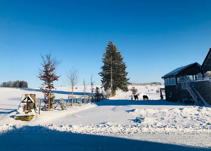 Pegasus I - 2 De Luxe, Cuisine, Salon, 2 Terrasses Et Sauna